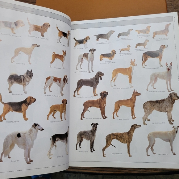 Legacy of the Dog: The Ultimate Illustrated Guide by Tetsu Yamazaki 2005 - Picture 5 of 5